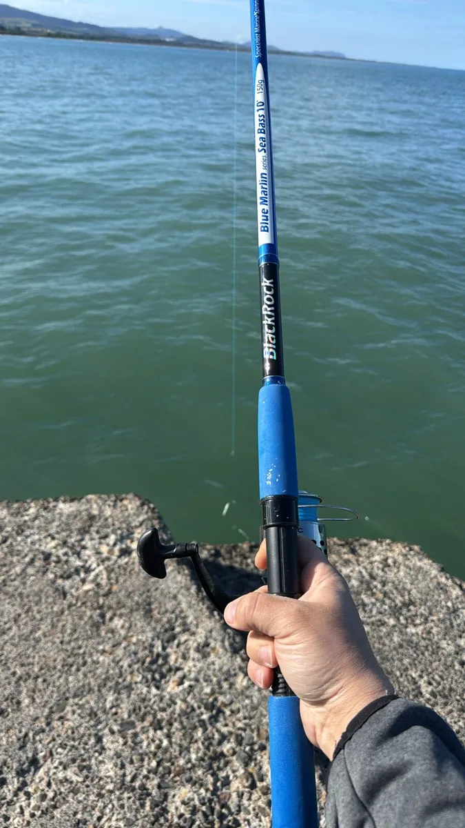 Rod and Reel - Image 1