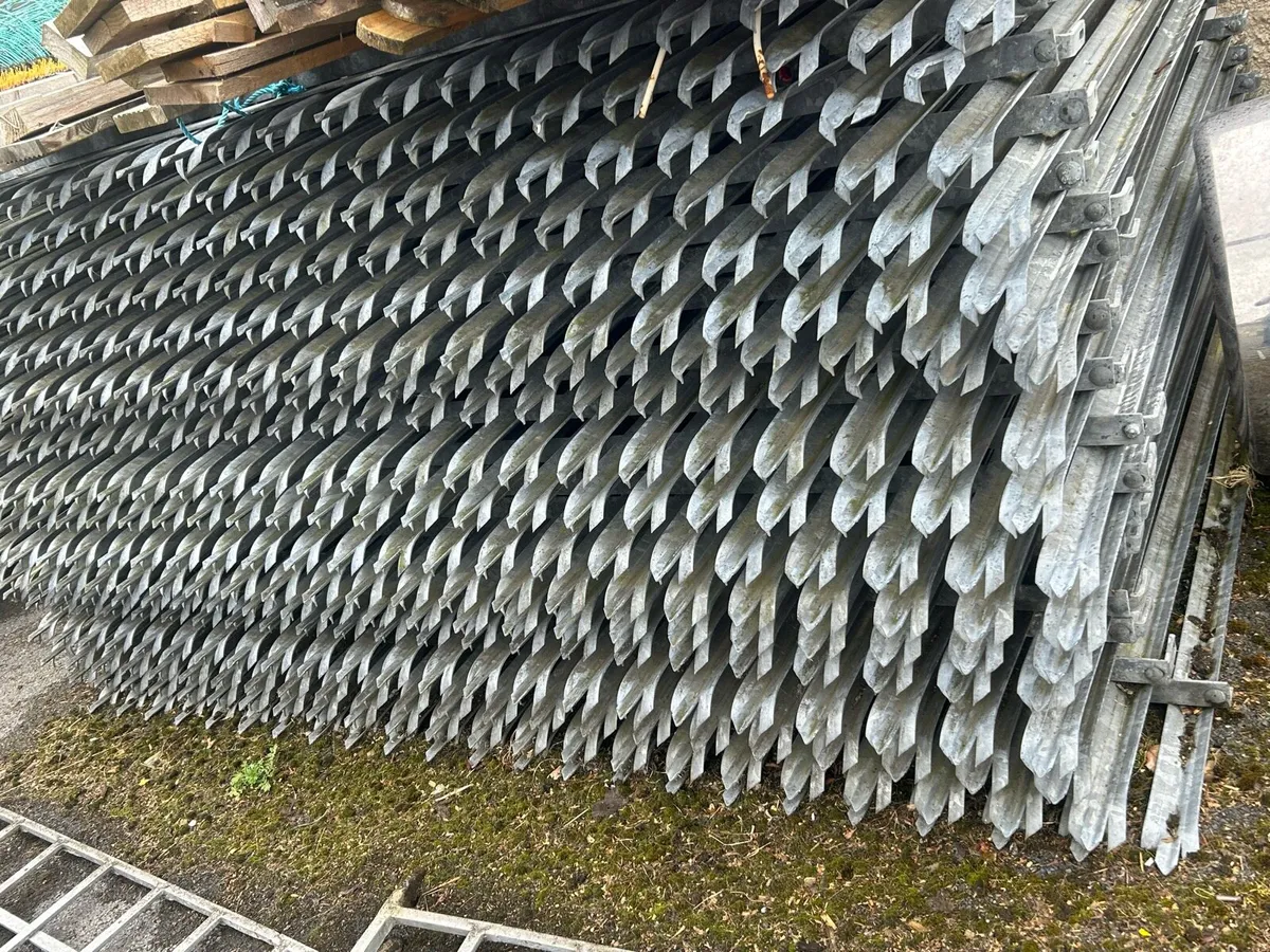 Palaside fencing - Image 1