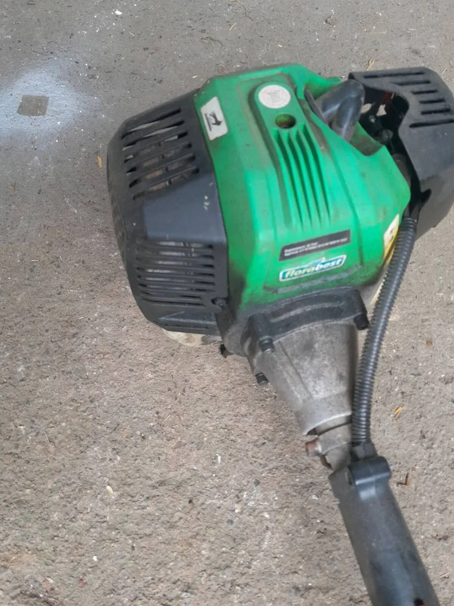 Lawnmower & Strimmer - Image 2