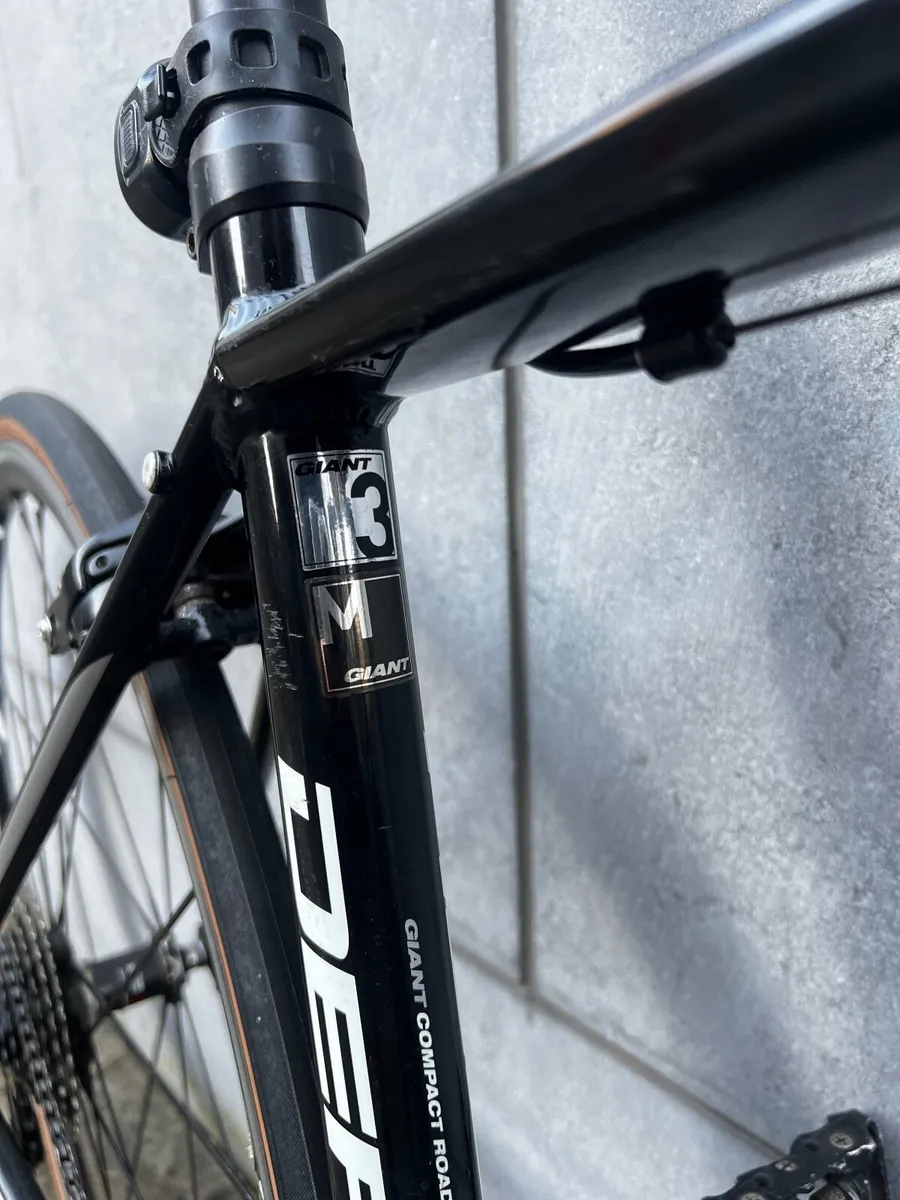 Giant Defy - Image 3