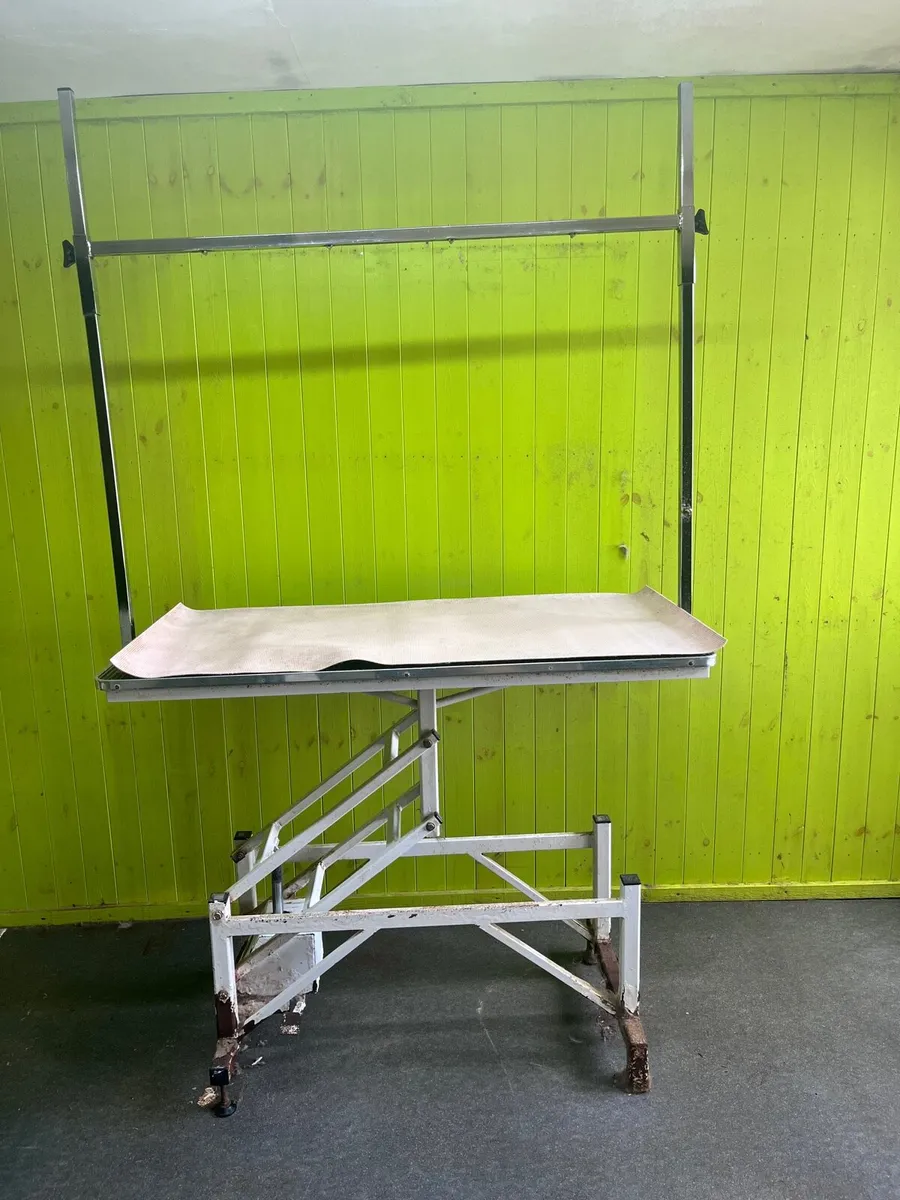 Dog Grooming BATH and TABLE - Image 1