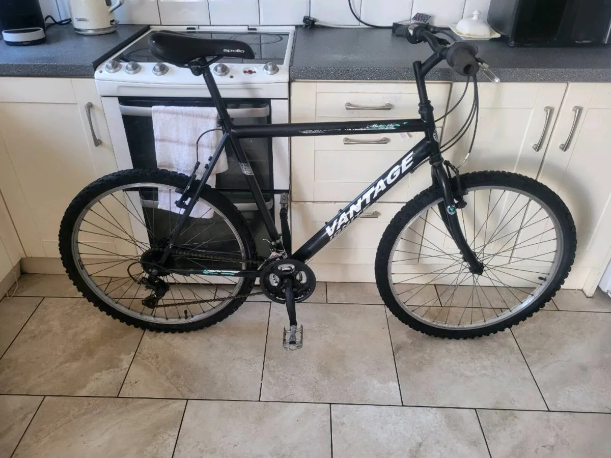 Mountain bike - Image 1