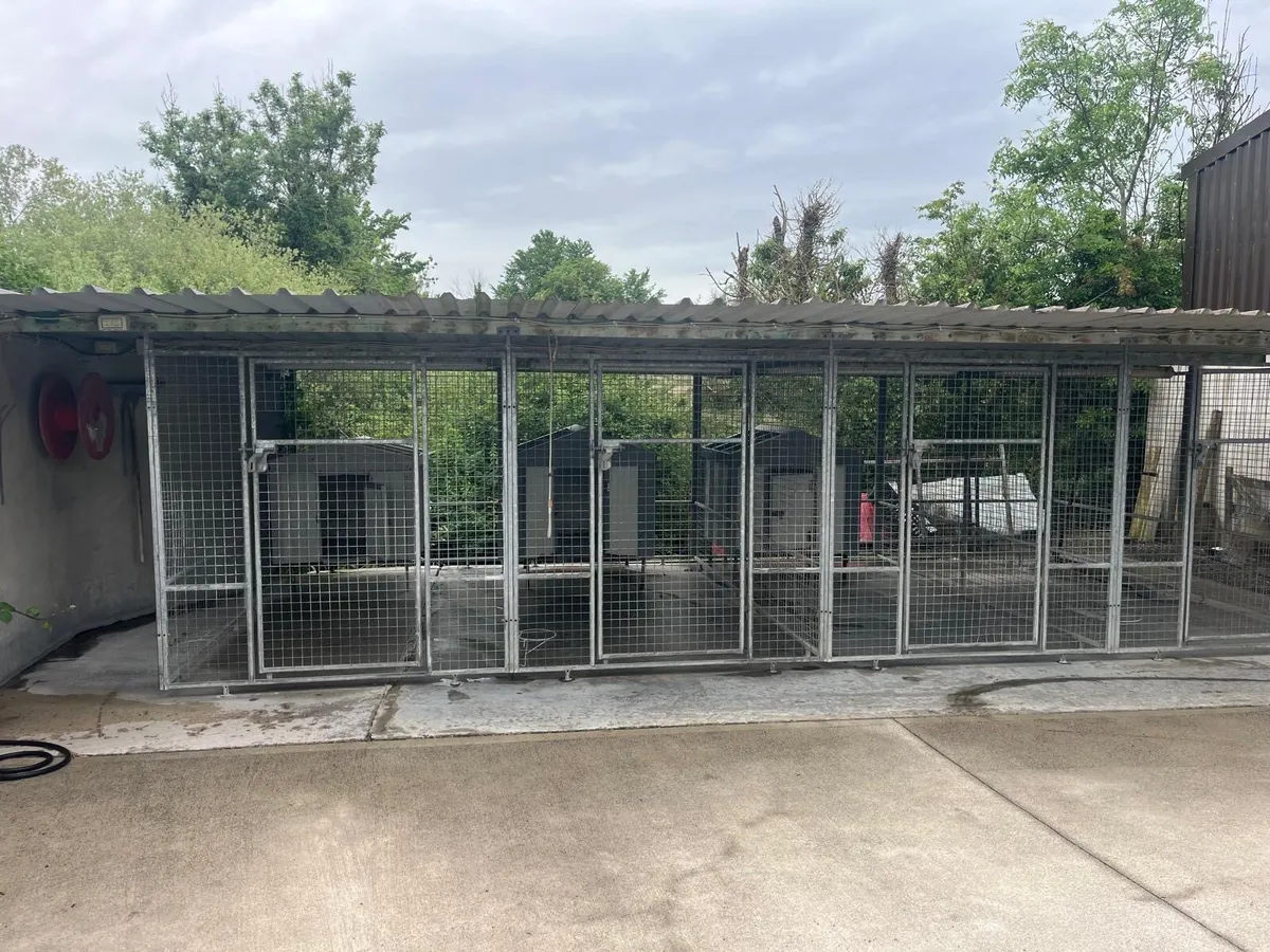 Dog Kennels - Image 3