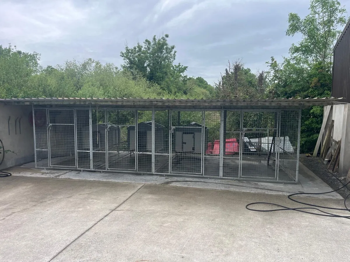 Dog Kennels - Image 1
