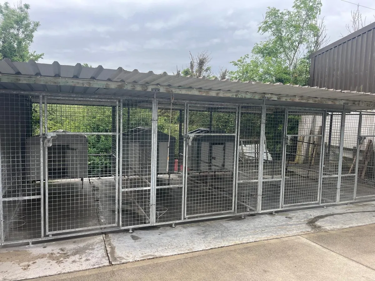 Dog Kennels - Image 2