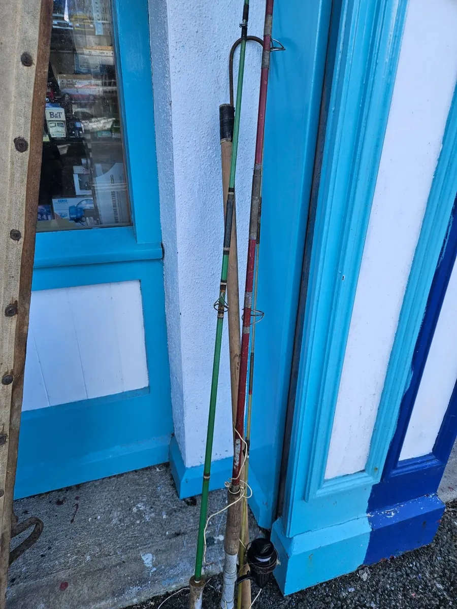 Vintage Fishing Rods and Gaff Hook - Image 1