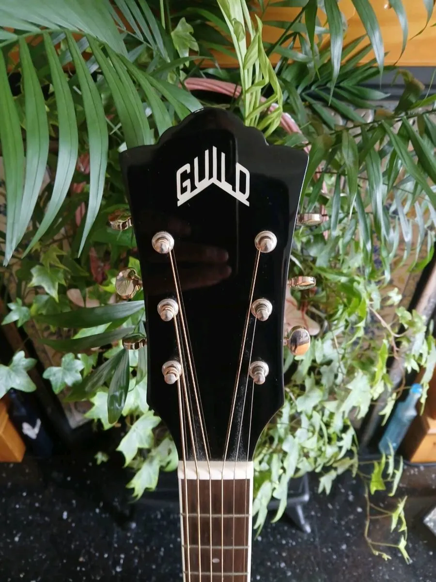 Guild 250 E Deluxe Westerly Guitar - Image 2