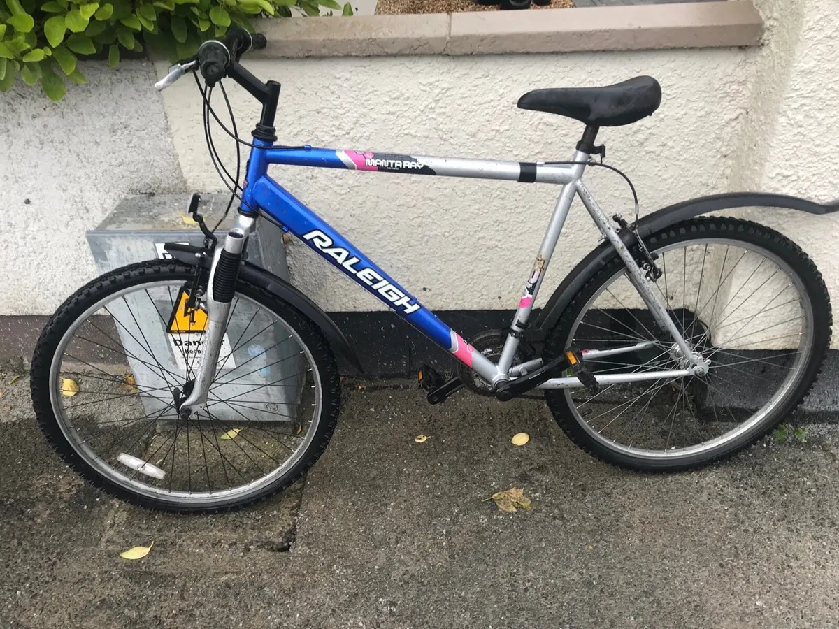 Raleigh mountain bike - Image 2