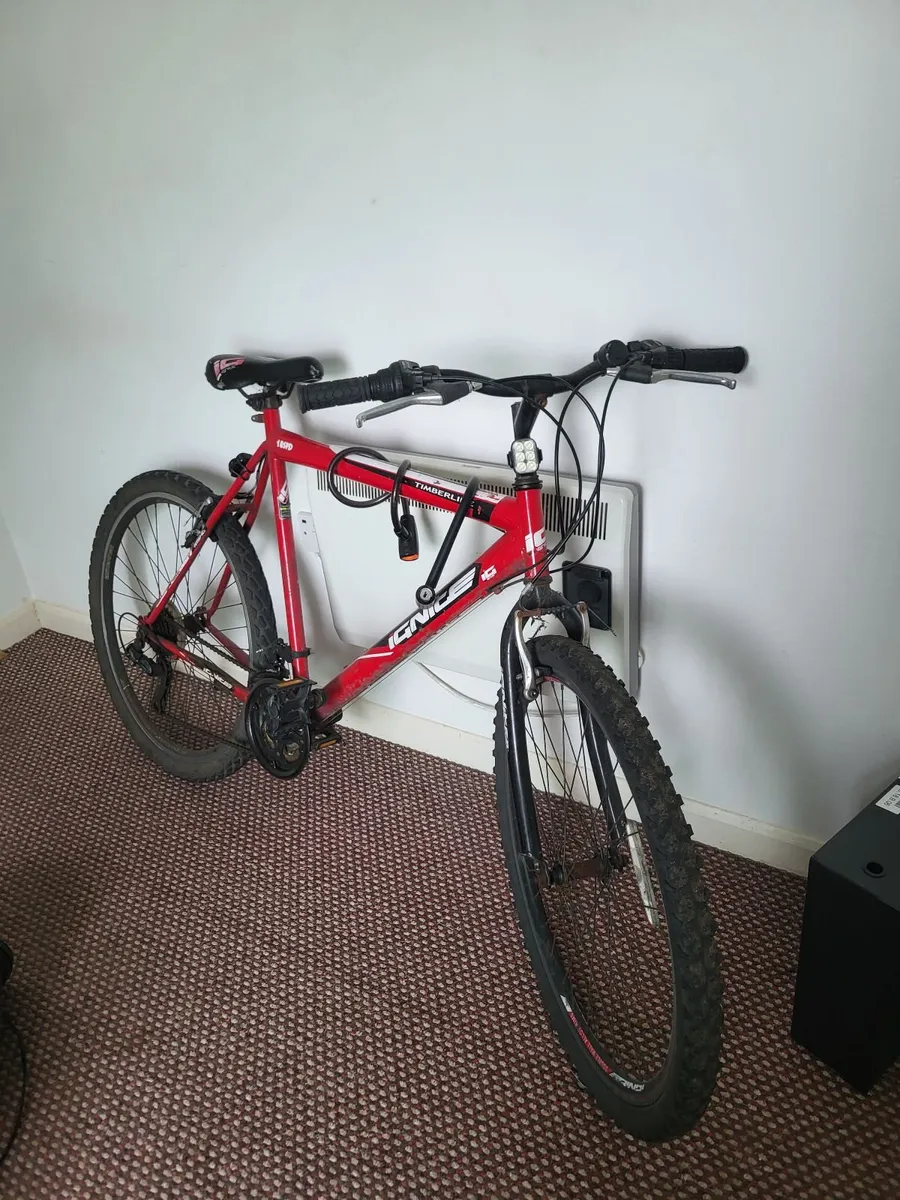 Mountain Bike - Image 1