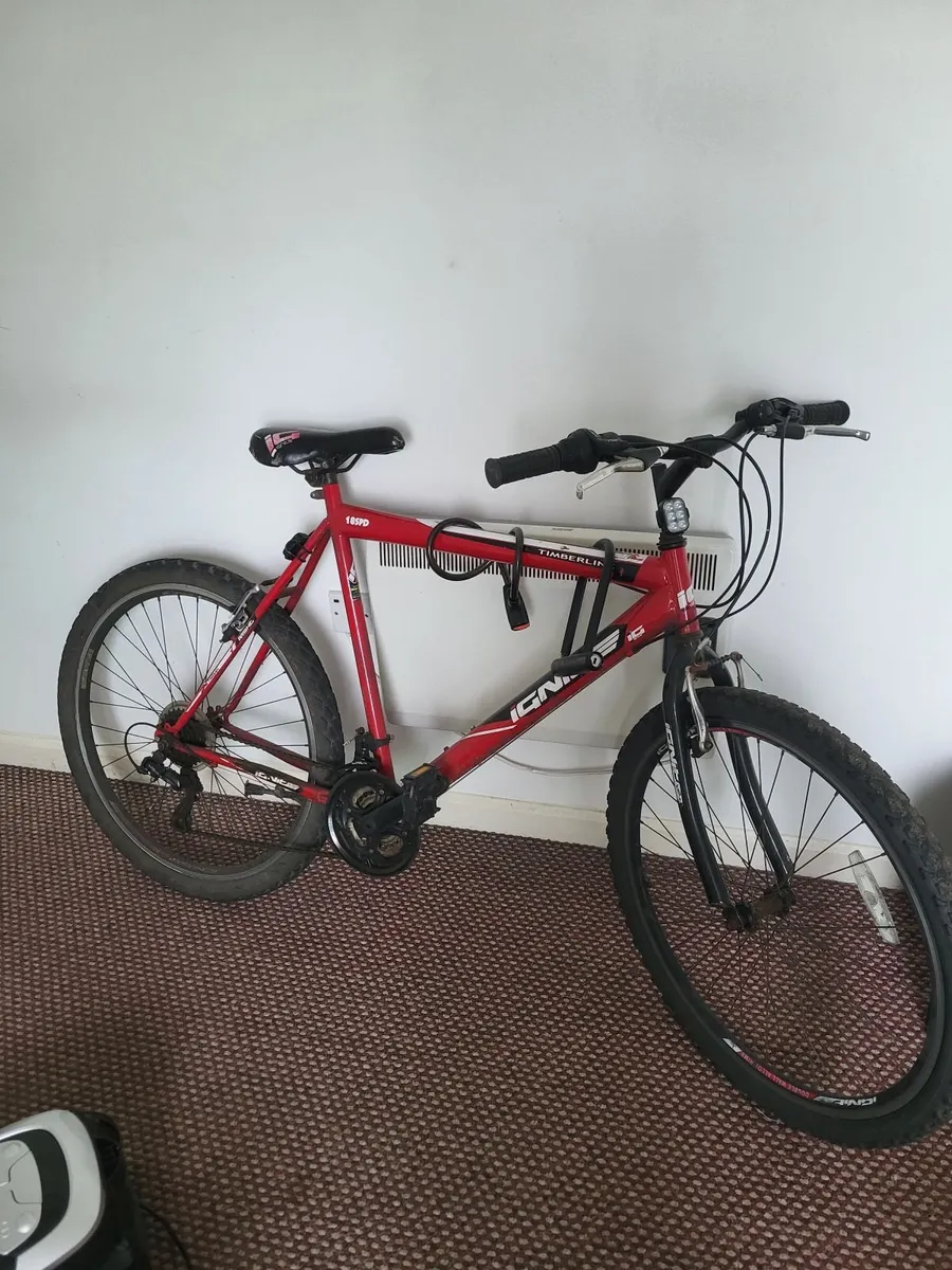 Mountain Bike - Image 2