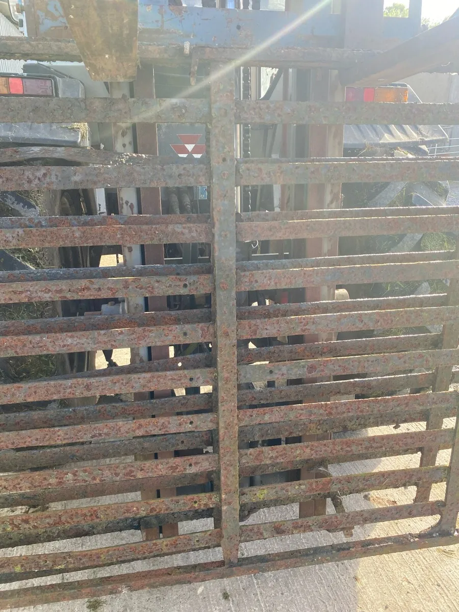 Traditional Gates - Image 3