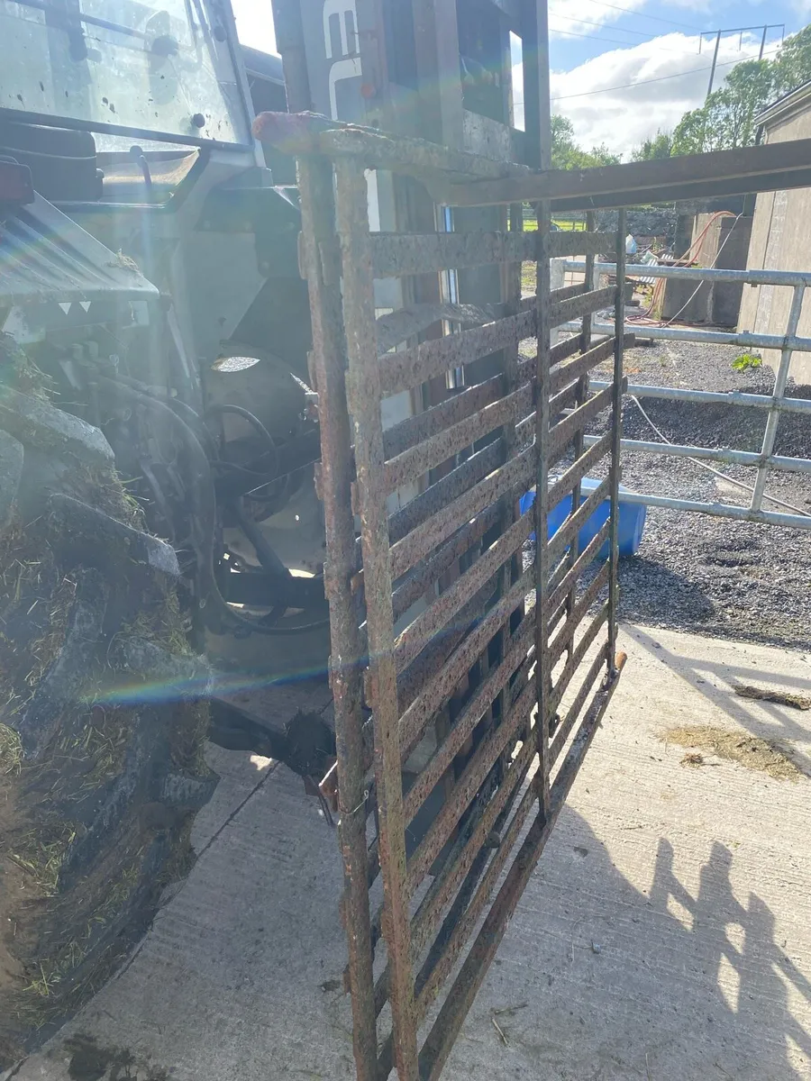 Traditional Gates - Image 4