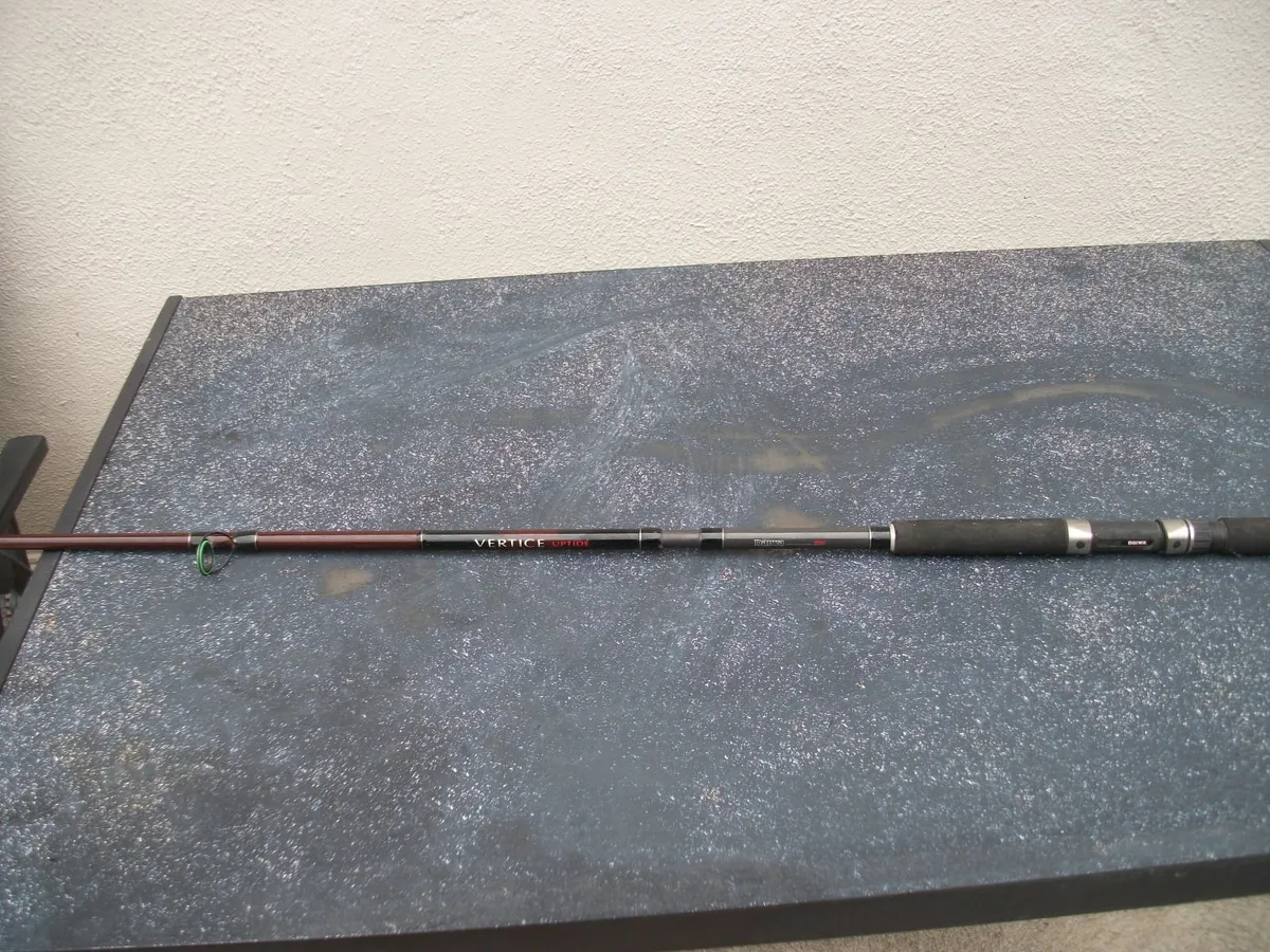 Sea Fishing Rods & Reels - Image 1
