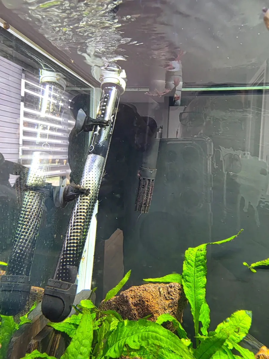 Aquarium - Image 3