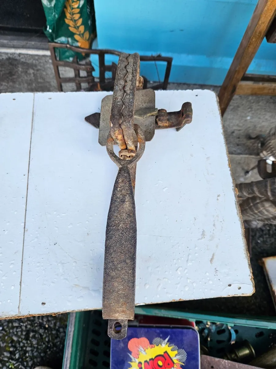 Vintage Cast Iron Trap - Image 2