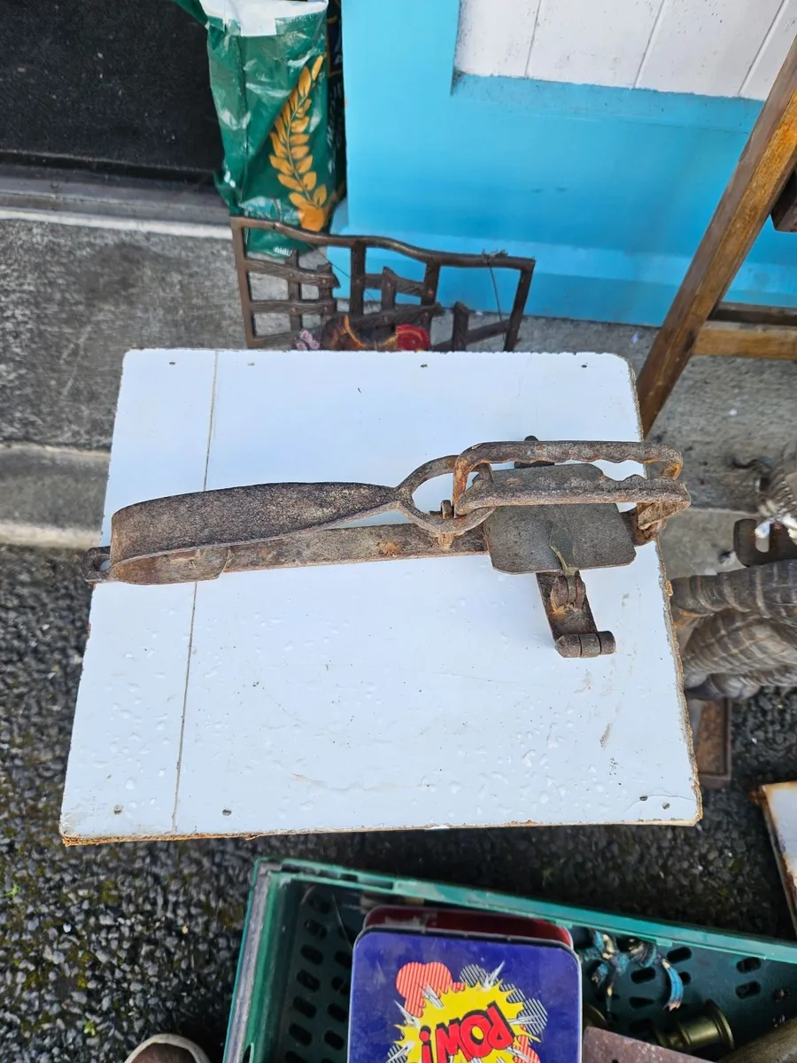Vintage Cast Iron Trap - Image 1