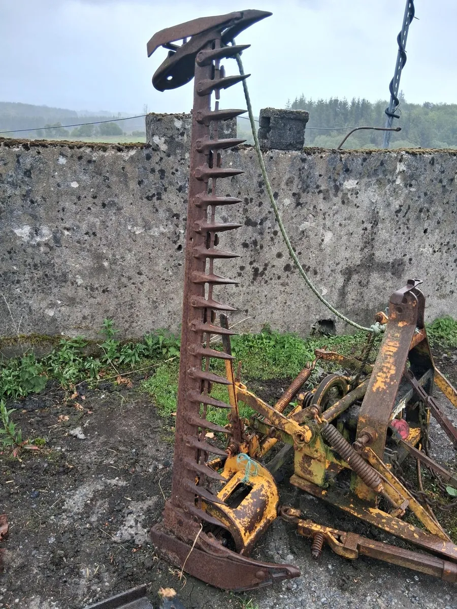 Farm yard clearance - Image 2