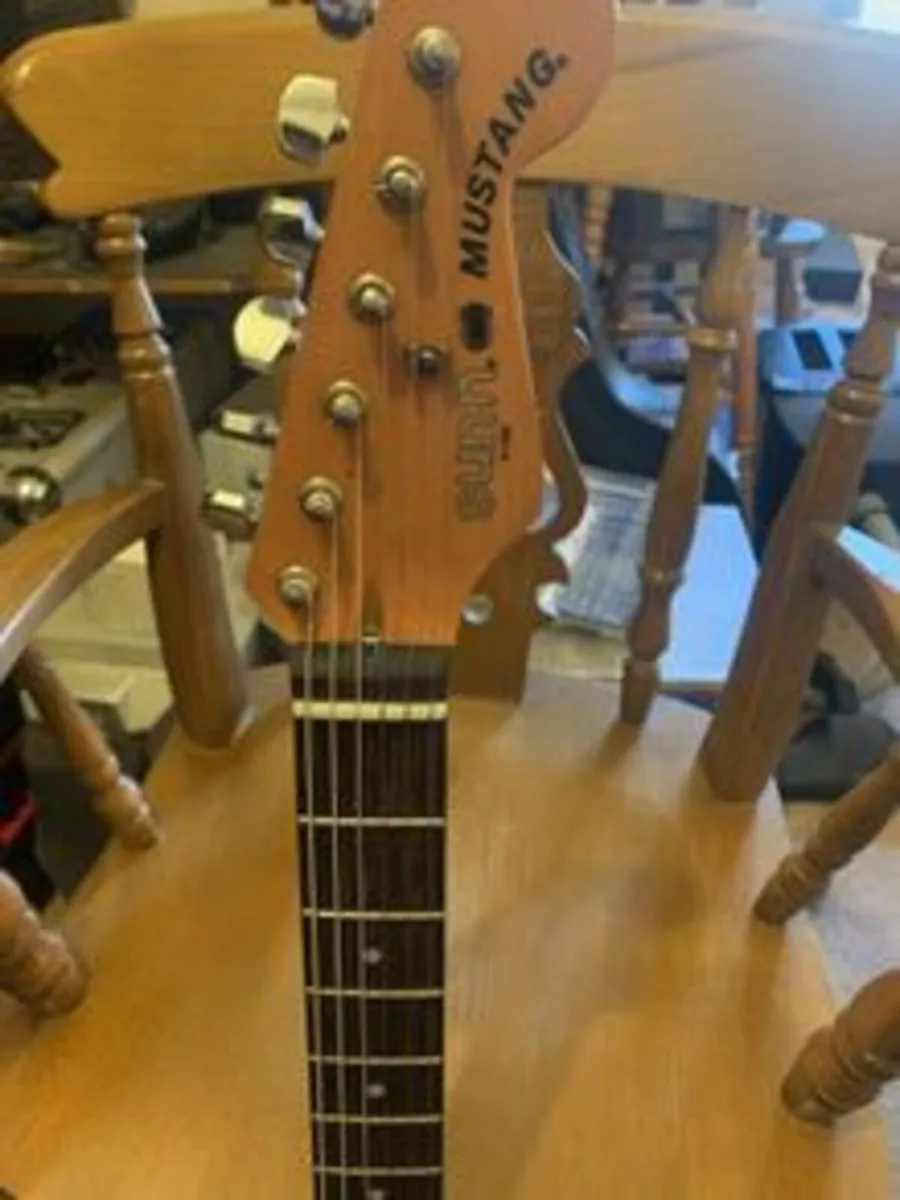 fender sunn mustang - Image 2