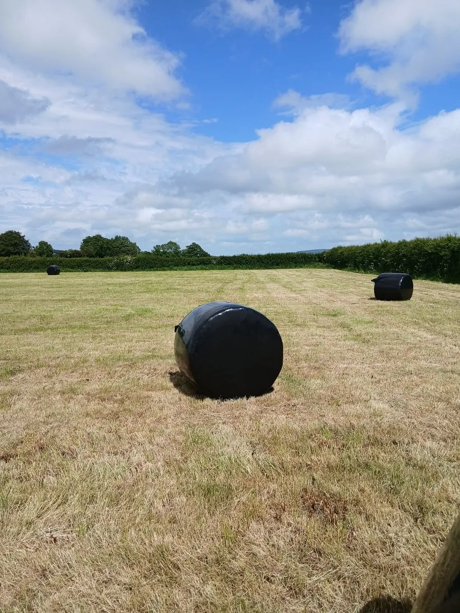 Silage bales