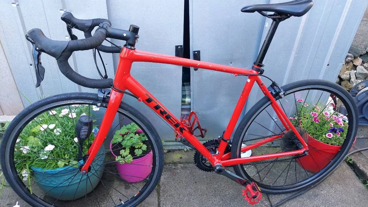 Trek Domane 56cm Large Frame - Image 4