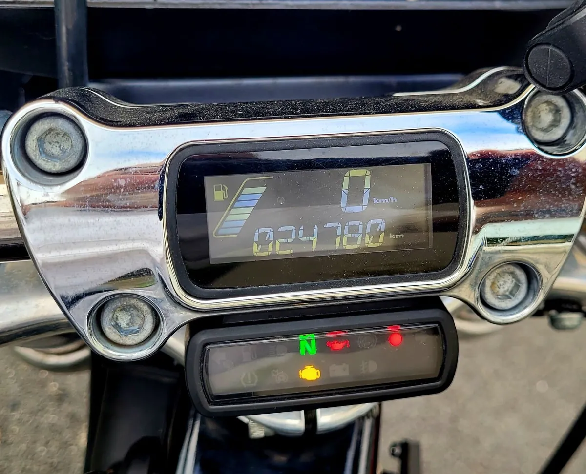 Harleydavidson 2020 Softail standard - Image 2