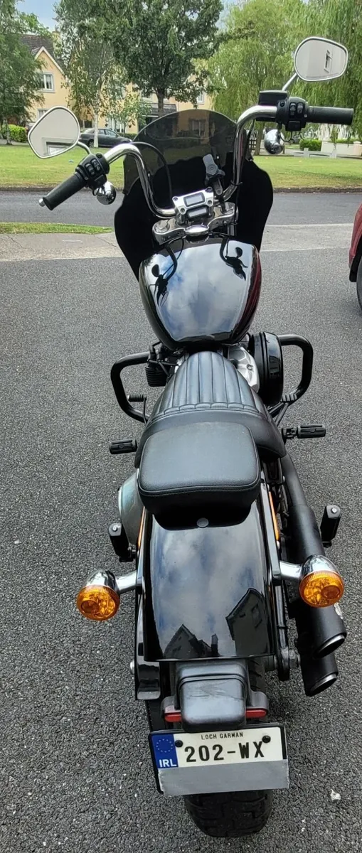 Harleydavidson 2020 Softail standard - Image 3
