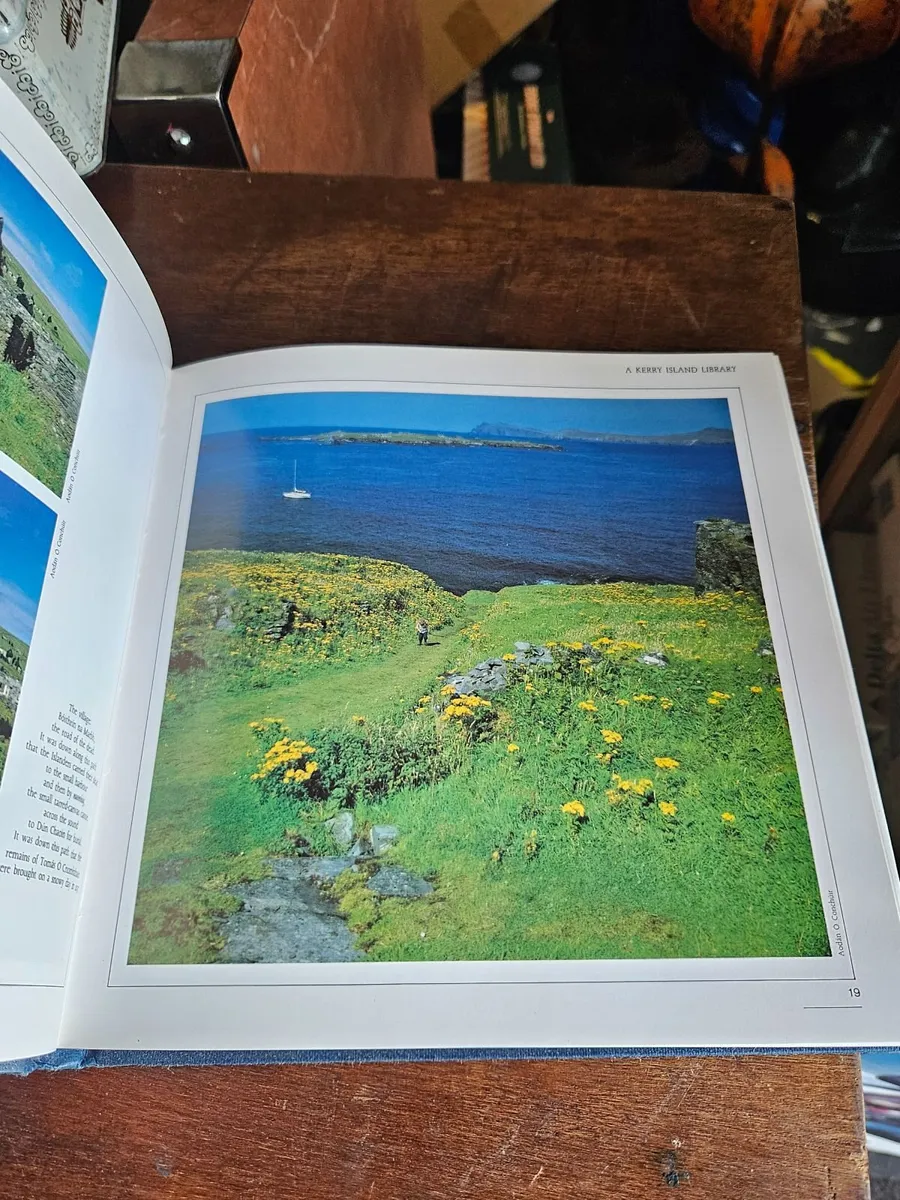 Book The Blasket Islands - Image 4