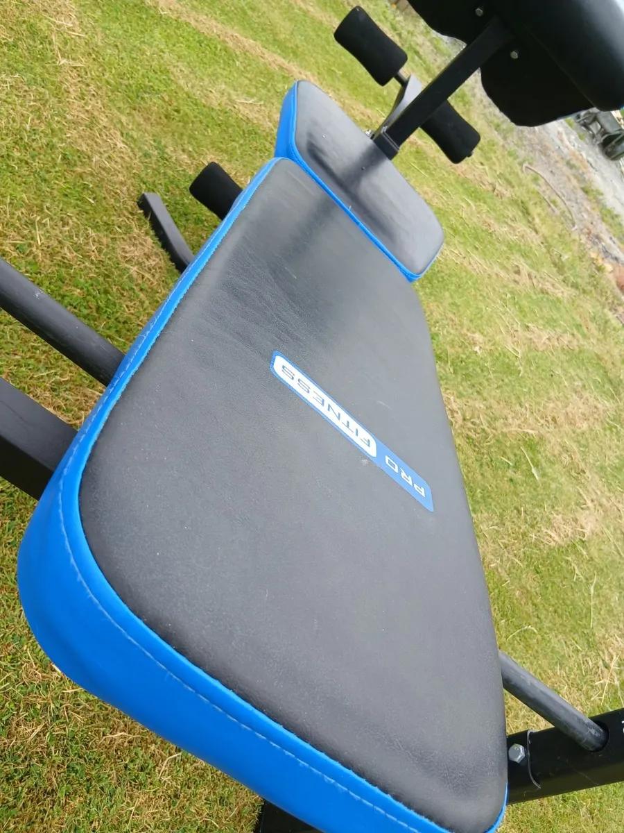 Weights and Bench - Image 4