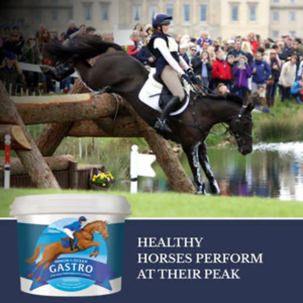 Immun - Ocean Gastro Premium Digestive Support 5kg - Image 2