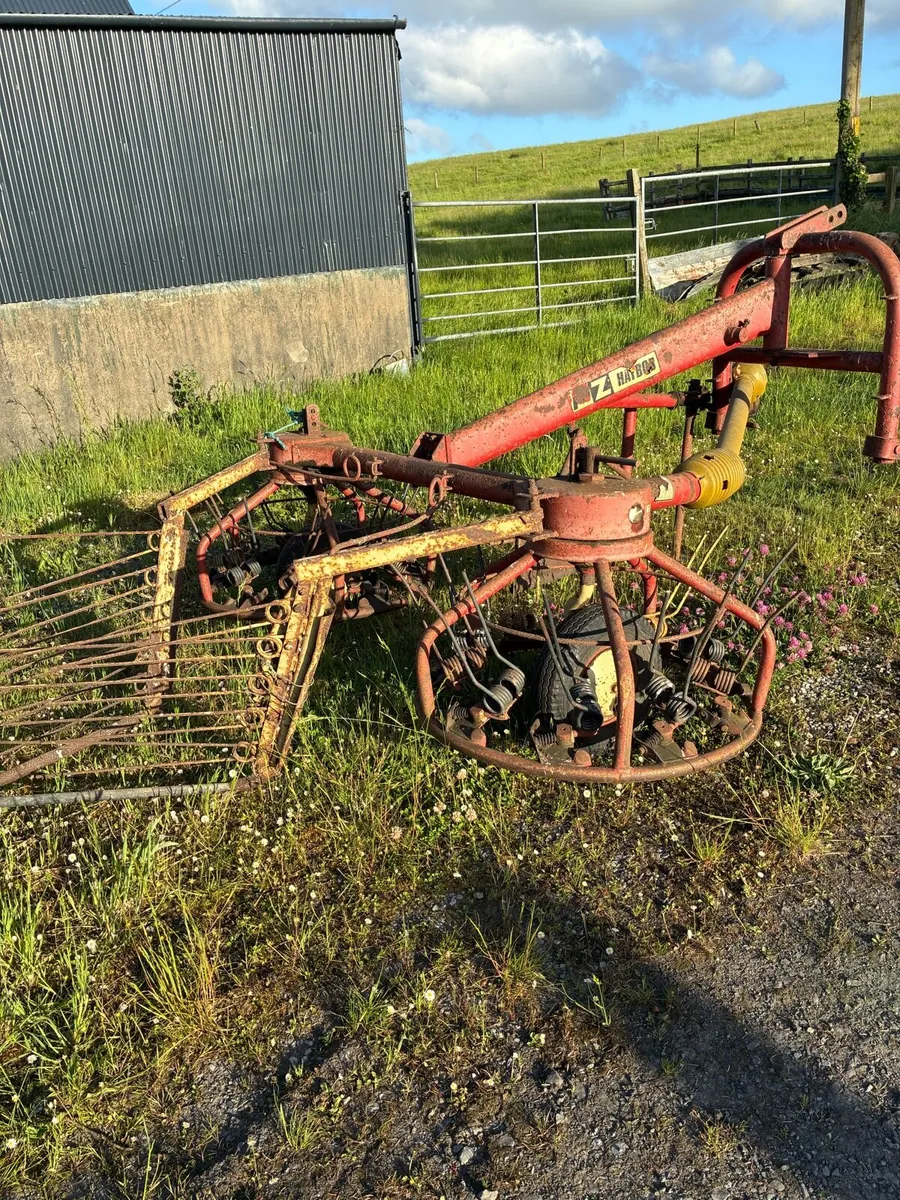HAYBOB - Image 2