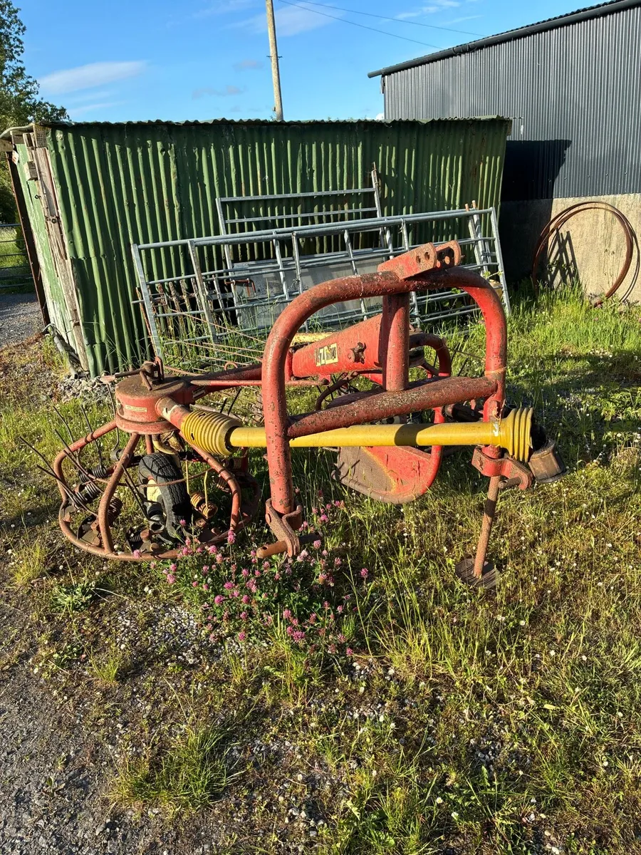 HAYBOB - Image 3