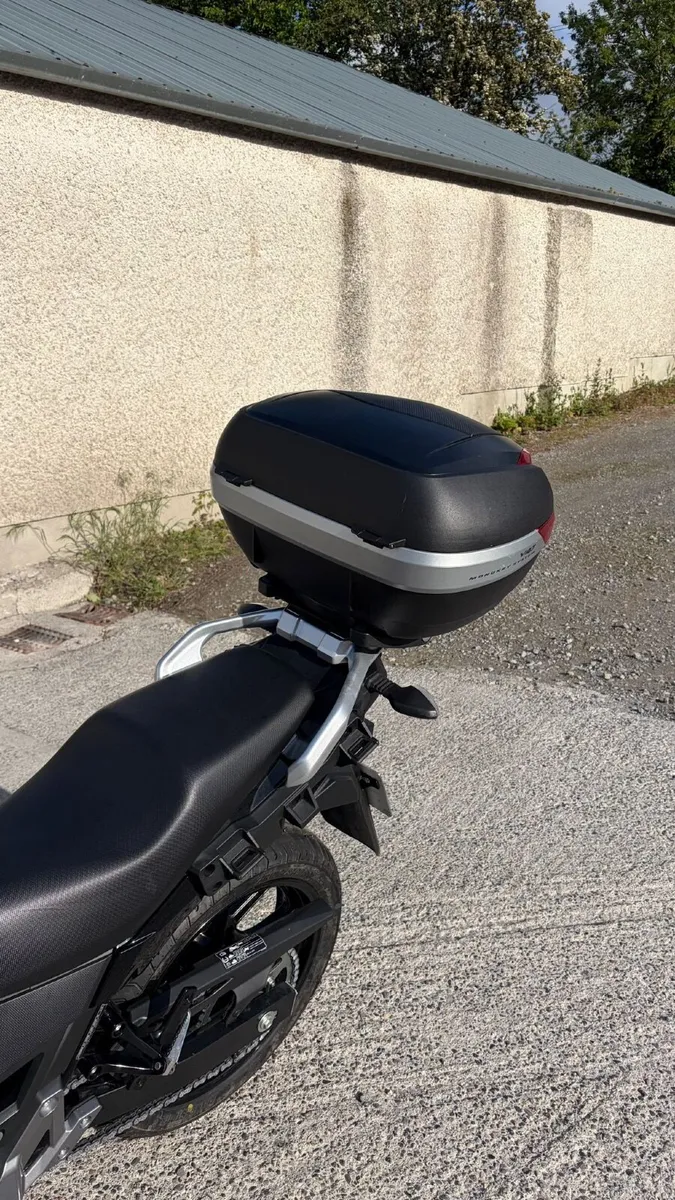Suzuki DL250 V-STROM 2019 Low Milage - Image 4