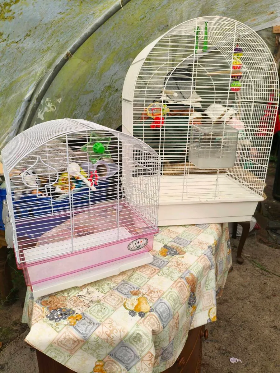Small bird cage new 10 euro