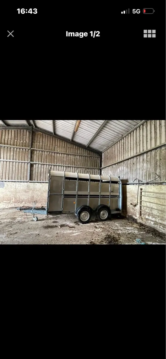 ifor willams cattle trailer - Image 1
