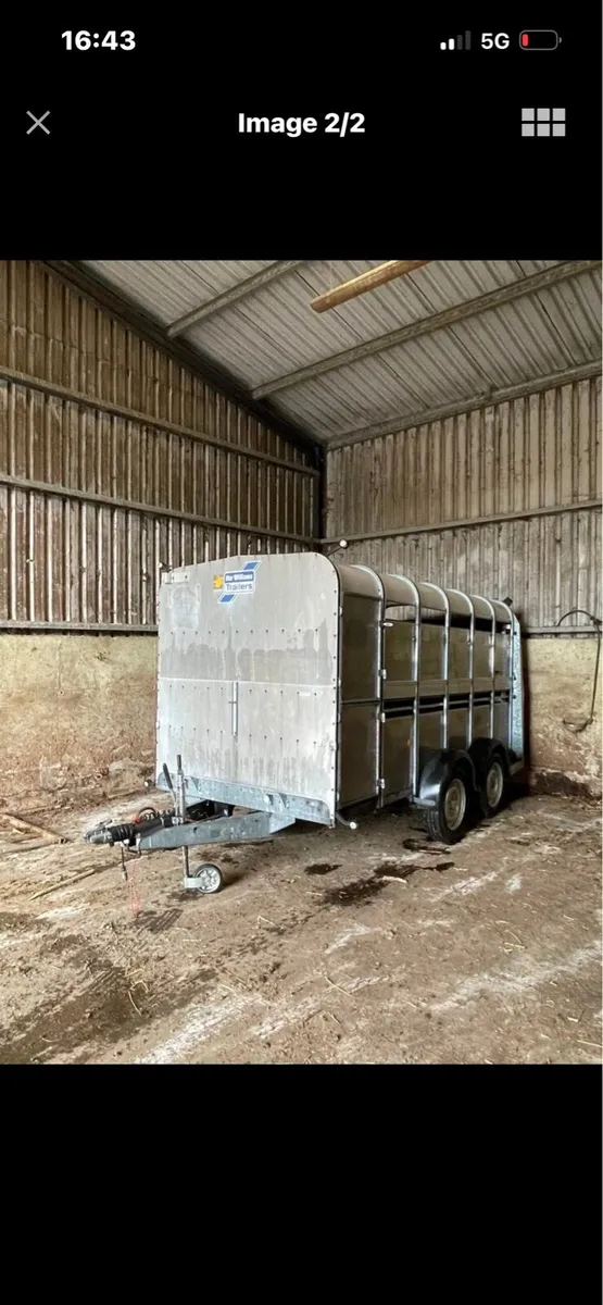 ifor willams cattle trailer - Image 2