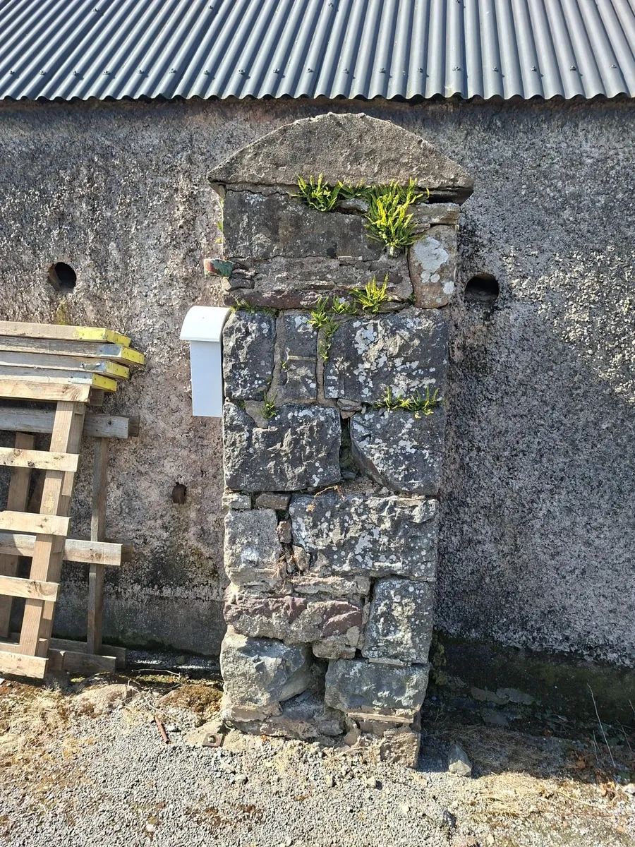 Peers - Image 3