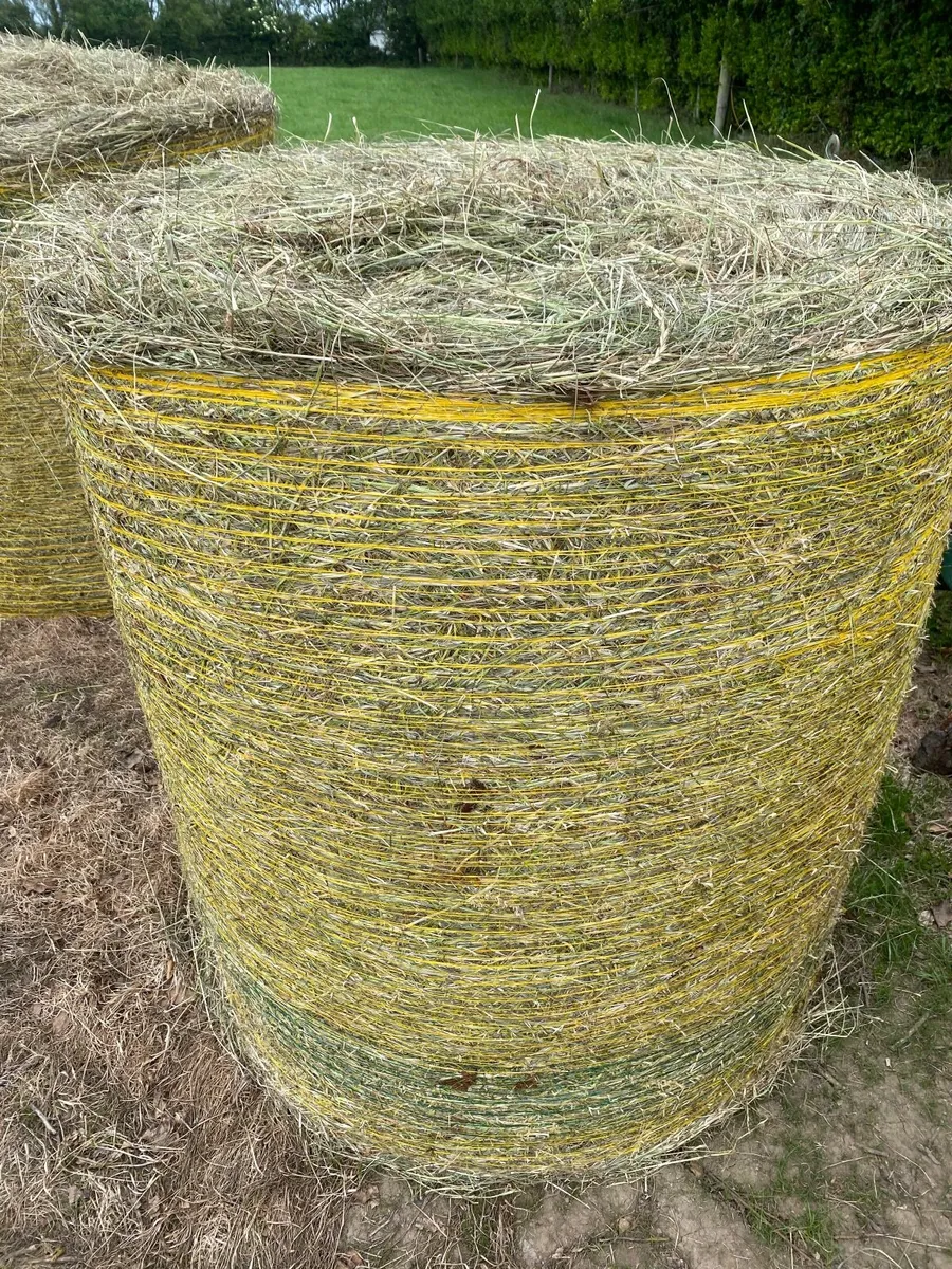 Haylage - Image 3