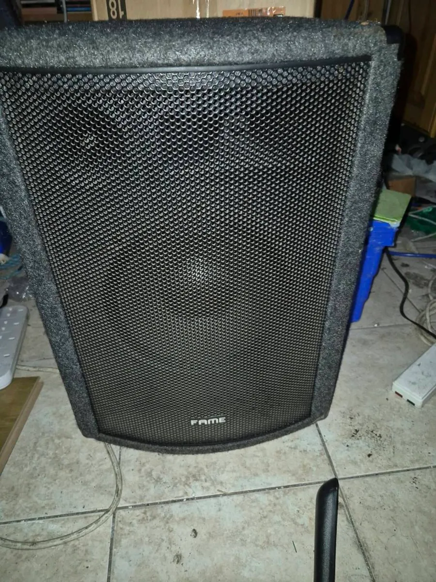 Pair of fame 10 inch speakers