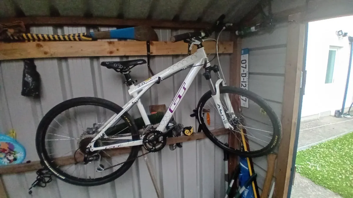 Mountain Bike - Image 1