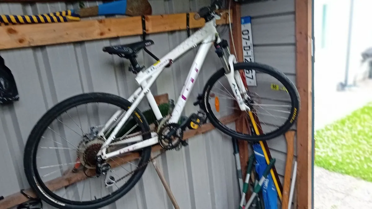 Mountain Bike - Image 2