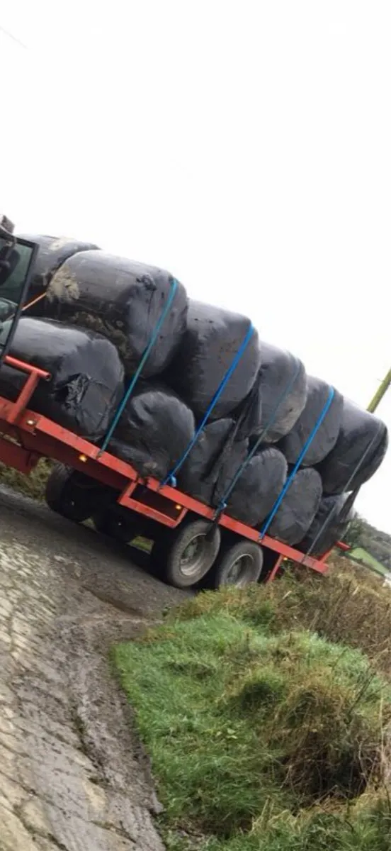 14 Bale Trailer - Image 2
