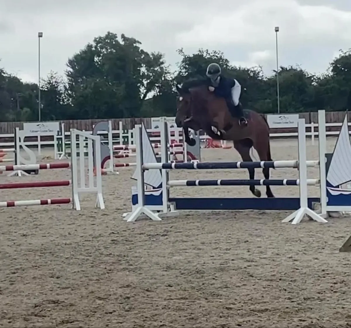 Superb all rounder by Clover Brigade - Image 2
