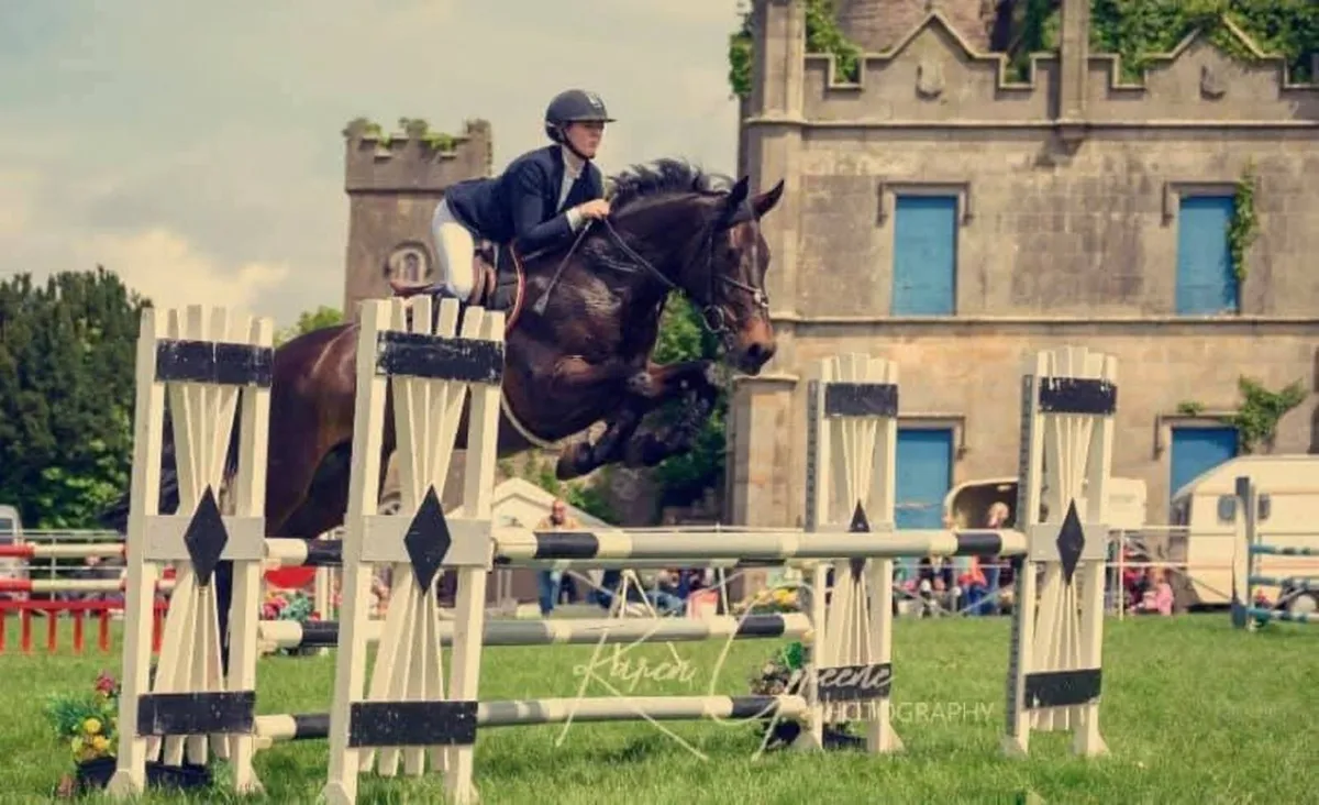 FANTASTIC SCHOOLMASTER GELDING - Image 3