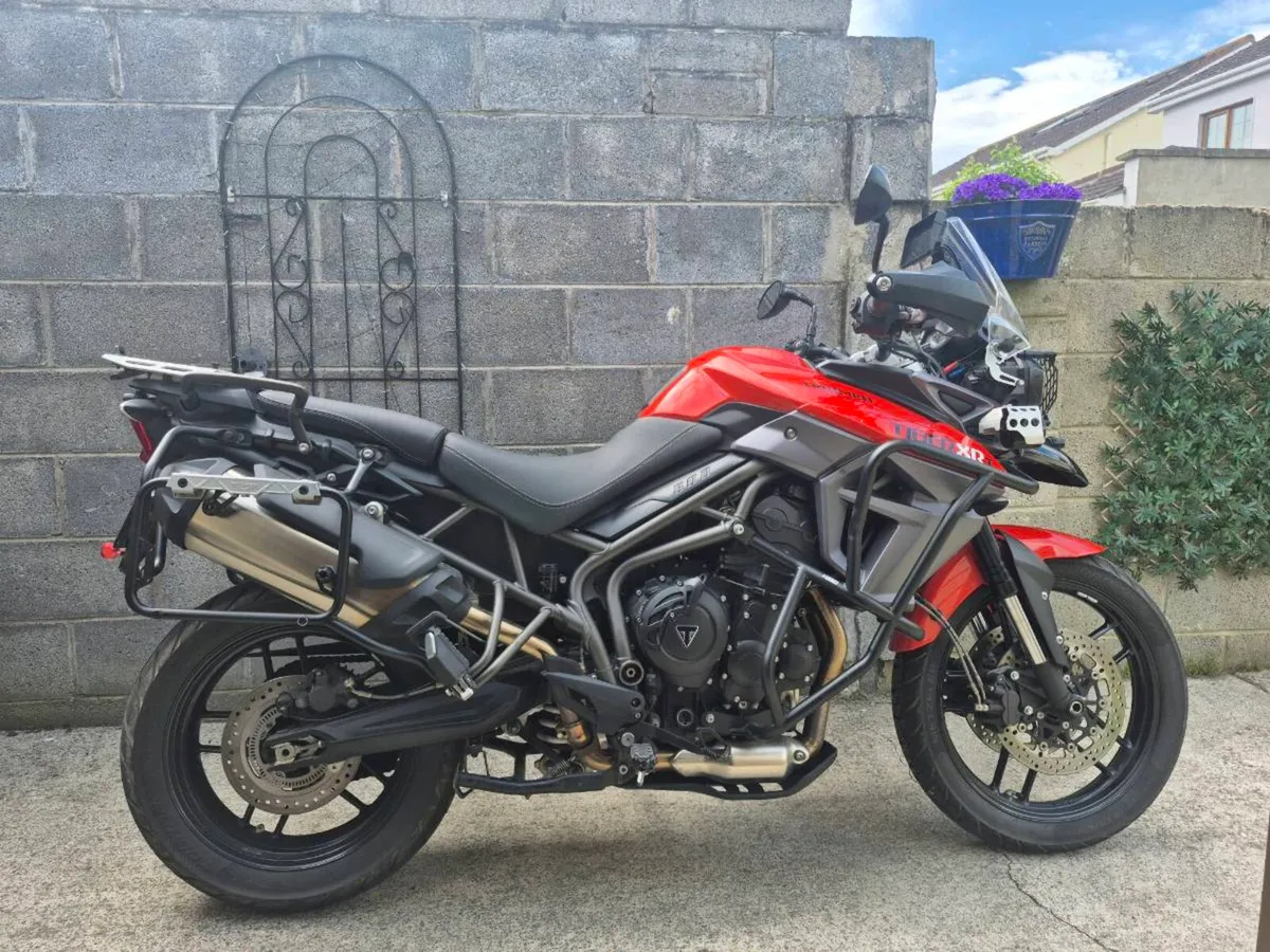 Triumph Tiger XRT 800 (very low mileage) - Image 2