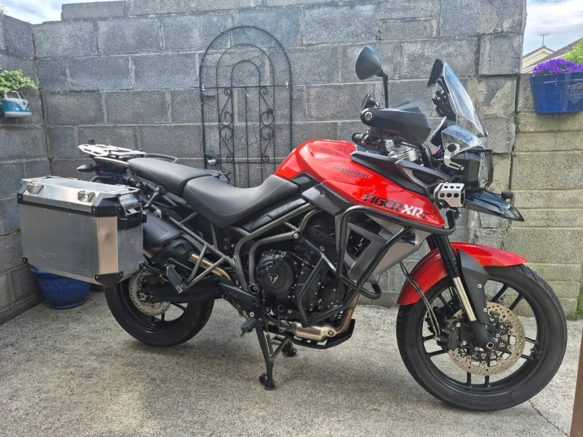 Triumph Tiger XRT 800 (very low mileage) - Image 4