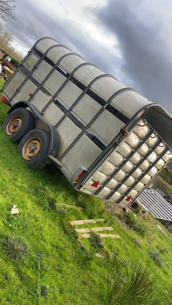 Trailor /topper - Image 1
