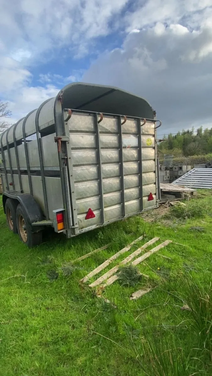 Trailor /topper - Image 3