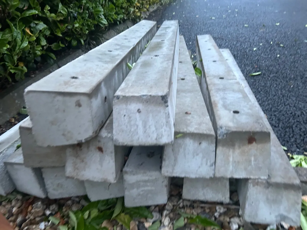 14 x Concrete posts - Image 1