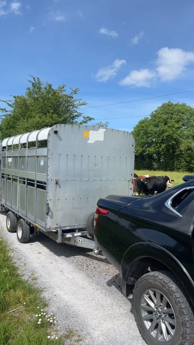 Cattle trailer - Image 3