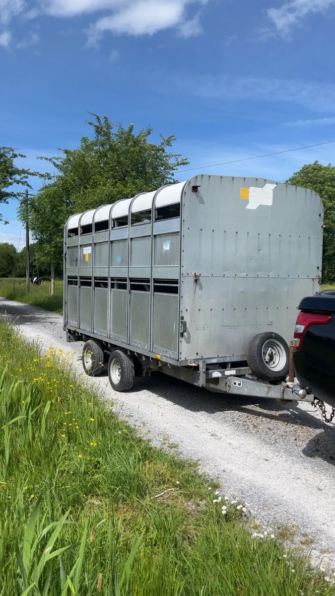 Cattle trailer - Image 1